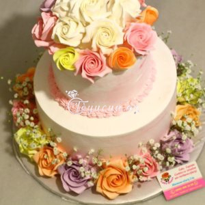 Tortlar NZ 0043