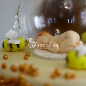 Tortlar NZ 0052