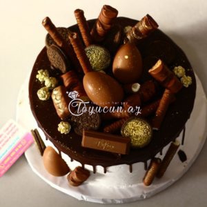 Tortlar NZ 0066